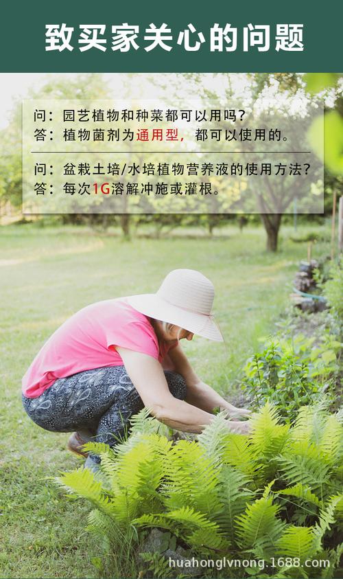工厂定制矿源黄腐酸钾 大多肉花卉肥料绿化菌粉有机肥微生物菌剂